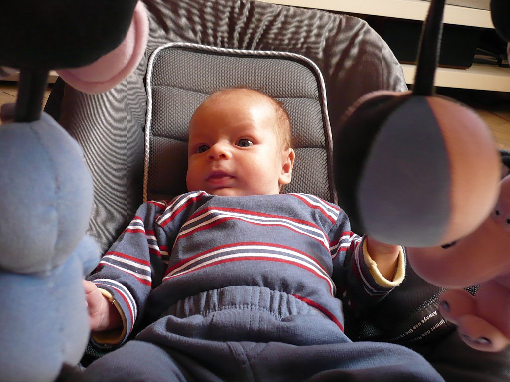 P00487.jpg