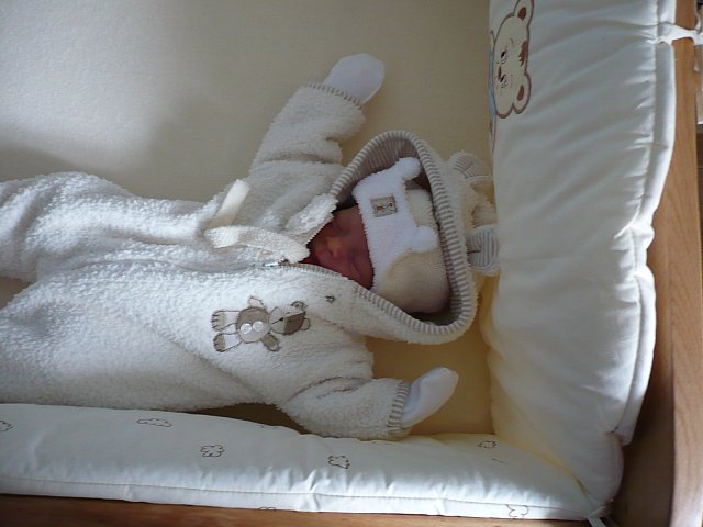 P1000388.jpg